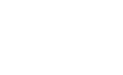 logo-disal